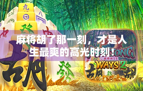 麻将胡了那一刻，才是人生最爽的高光时刻！